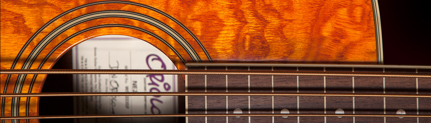 Nez 5-String Bass